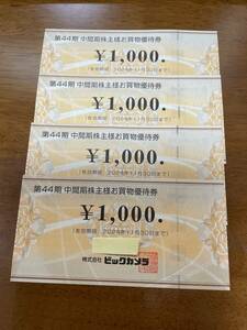 ビックカメラ　株主お買い物優待券　4000円分