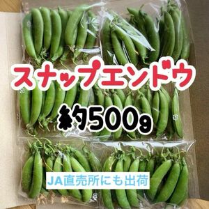 農家直送　スナップえんどう　500g フレッシュ