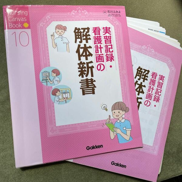 裁断済　実習記録・看護計画の解体新書 （Ｎｕｒｓｉｎｇ　Ｃａｎｖａｓ　Ｂｏｏｋ　１０） 石川ふみよ／編著