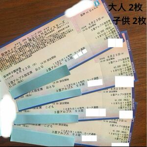 阪神タイガース vs 横浜DeNAベイスターズ 2024年 阪神 野球 甲子園 連番