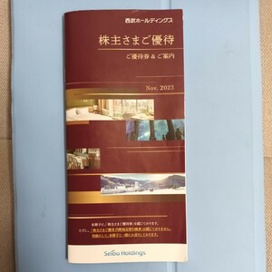 西武ホールディングス 株主優待 冊子