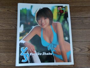 釈由美子 トレーディングカード2001 100枚セット ヤングサンデー15周年カードホルダー