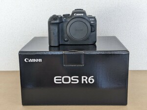 Canon EOS R6 2021 year 