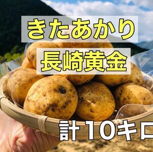 【超お得】　野菜　じゃがいも　新じゃが　きたあかり　ながさき黄金　10kg