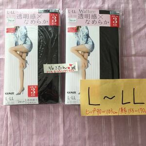  Gunze War car L-LL black stockings 6 pairs set 