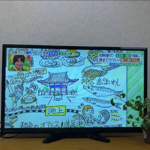 ORION 液晶テレビ NHC-321B 2016年製 家電 