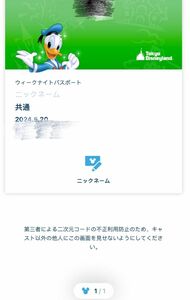 ディズニーランド　グッズ購入用　チケット