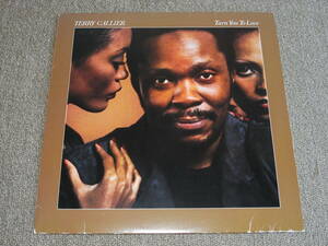 TERRY CALLIER / TURN YOU TO LOVE