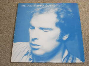 VAN MORRISON / INTO THE MUSIC