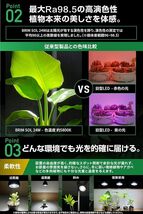 BRIM(ブリム) SOL 24W 植物育成ライト LED E26口金 フルスペクトル (SOL 白色系 (5800K))_画像3