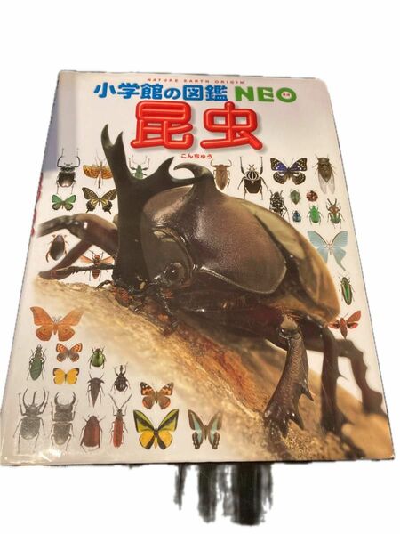 昆虫 （小学館の図鑑ＮＥＯ　３） 小池啓一／〔ほか〕指導・執筆