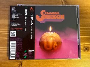 初回生産限定盤CD+DVD★UNICORN/ユニコーン★CHAMBRE/シャンブル