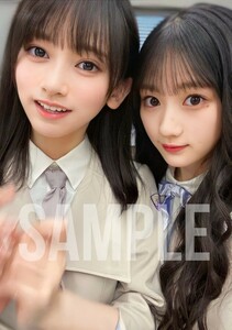 【B-010】池田瑛紗＆川崎桜　Lサイズ写真　乃木坂46