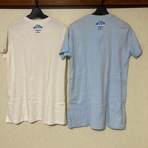 a.i.n アインマタニティTシャツ2枚セット
