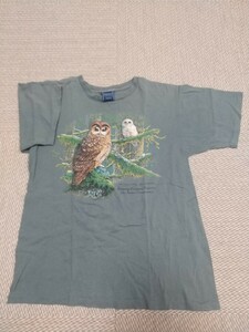 Tシャツ フクロウ Spotted Owl 野鳥 