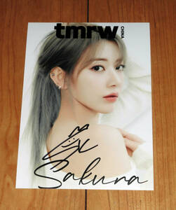  Sakura (LE SSERAFIM) * средний steel фотография * автограф автограф 