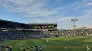 5 month 28 day ( fire ) Koshien Hanshin Tigers vs Hokkaido Nippon-Ham Fighters light out . designation seat 1 sheets 5/28