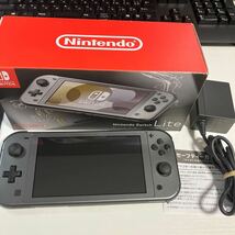 ニンテンドーswitchライト　ディアルガ　パルキア_画像1