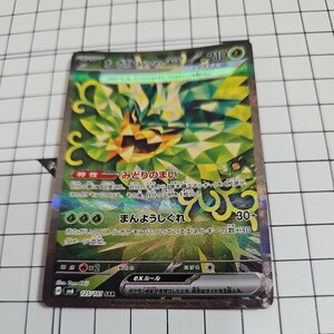 ポケモンカード　変幻の仮面　ポケカ　オーガポンみどりのめんex　SAR