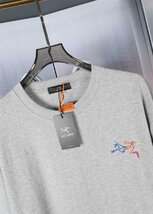 ARCTERYX Tシャツ アークテリクス 半袖 tシャツ カットソー グレー ユニセックス おしゃれ ファッション Lサイズ_画像3