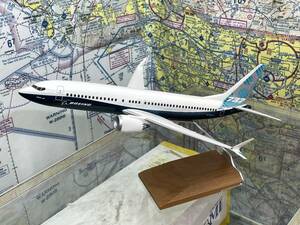 1/100 PACMIN pacmin BOEING 737-8 MAX