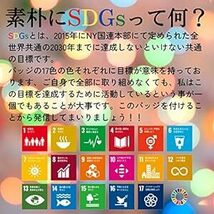 【国連本部公式最新仕様/インボイス制度対応】SDGs バッジ 20mm 金色丸み仕上げ【1個】 sdgsバッチ ピンバッチ SDG_画像2