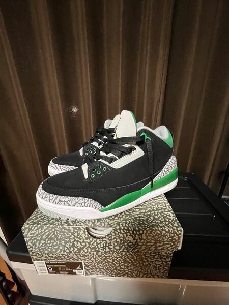 ナイキ エアジョーダン 3 レトロ "パイン グリーン　NIKE AJ3