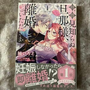 拝啓見知らぬ旦那様、離婚していただきます　１/紬いろと/久川航璃/あいるむ/フロースコミック