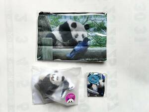 ka Taro car n pouch & amulet ( against person .)&da ikatto cushion key holder * Panda itself fes limitation ga tea Ueno zoo car n car nkalas