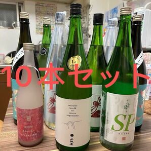 日本酒　10本セット（定価33436円相当）