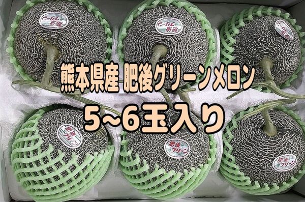 熊本県産 肥後グリーンメロン 5~6玉入り 家庭用
