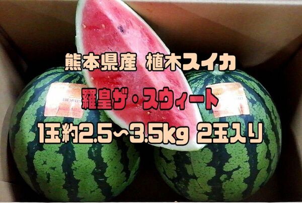 熊本県産 植木スイカ 羅皇ザ・スウィート 1玉約2.5~3.5kg 約5~6kg 2玉入り 家庭用