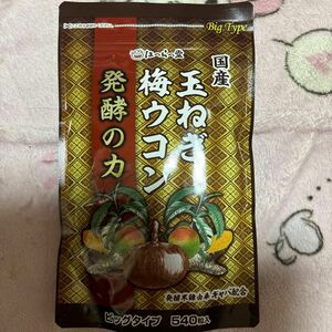 発酵の力 梅ウコン 玉ねぎ ビックタイプ５４０粒入り☆彡新品未使用品