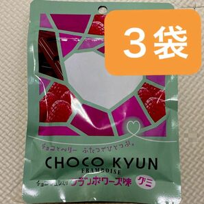 おかし　グミ　チョコレート　フランボワーズ　まとめ売り　