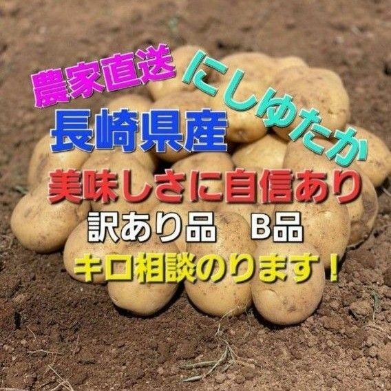 長崎県産 じゃがいもB品 にしゆたか 箱込み10キロ