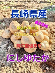 長崎県産 新じゃがいも にしゆたか A品 箱込み10キロ