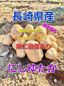 長崎県産 新じゃがいも にしゆたか A品 箱込み20キロ