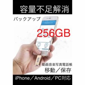 256GB usbフラッシュメモリ　ゴールド　フラッシュドライブ　バックアップ