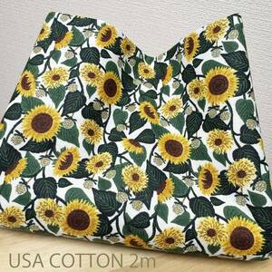 [ special price ]2m put on minute USA cotton *hi around pattern. cloth sunflower. floral print flap cloth * white ground 