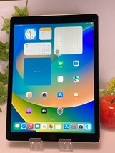 Wi-Fiモデル☆ iPad Pro 12.9インチ 第1世代 32GB スペースグレイ 3A553J/A バッテリー99％★ 正常 現品のみ A5835_画像1