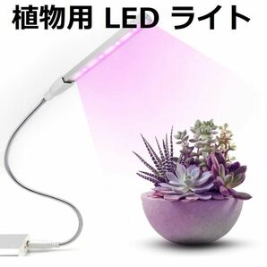 植物育成ライト 植物用 LED ライト USBタイプ 多肉植物などに