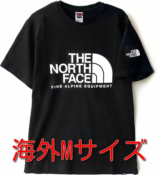 新品 即決 海外M(日本L相当)サイズ ノースフェイス Tシャツ 黒 ブラック アルパイン ロゴ THE NORTH FACE Alpine Logo 