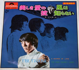 ザ・タイガース THE TIGERS 「美しき愛の掟」「風は知らない」 未試聴 　中古シングルレコード POLYDOR　