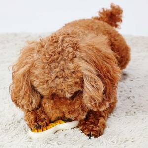 ペティオ (Petio) 犬用おもちゃ かんでるボーンデンタル Mハード 厚切りベーコンフレーバー