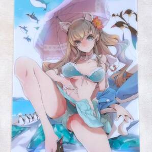 袁藤沖人 B5 クリア下敷き 夏の大感謝祭2013 とらのあな オリジナル イラスト 同人アイテム 絵師 イラストレーター B5サイズ