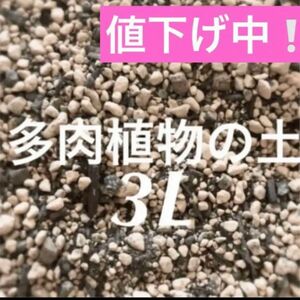 値下げ中！多肉植物　サボテンの土　約3リットル　即購入歓迎！