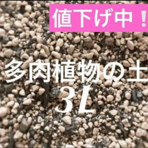 値下げ中！多肉植物　サボテンの土　約3リットル　即購入歓迎！