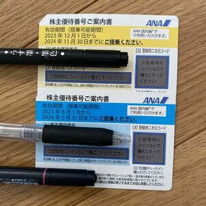 ★ANA優待搭乗券　〜2024年11月30日と〜2024年5月31日の2枚セット