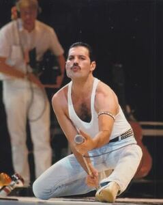 バンド クイーン　フレディマーキュリー　Queen Freddie Mercury　映画　写真　輸入　約20.3x25.4cm　10097