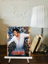 エルヴィス　オースティンバトラー　Elvis Austin Butler　写真　輸入　約20.3x25.4cm　11934_画像2